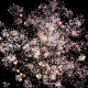 Фейерверк 49 залпов «Crazy Time» Maxsem M0881