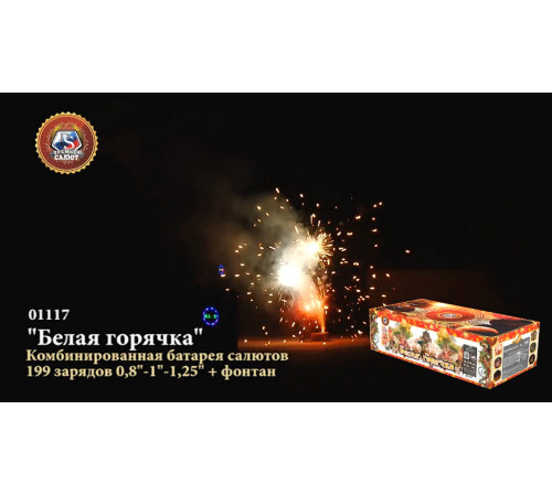 Фейерверк с фонтаном 199 залпов «Белая Горячка» Премьер Салют 01117