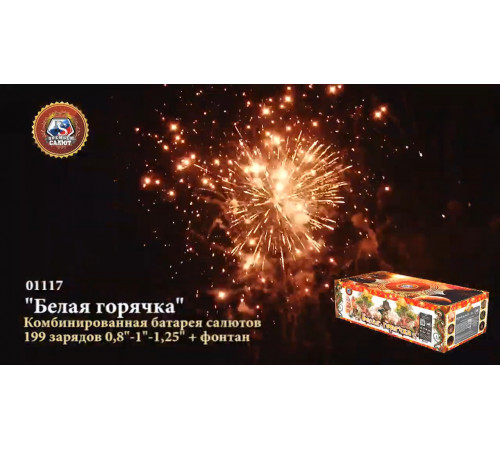 Фейерверк с фонтаном 199 залпов «Белая Горячка» Премьер Салют 01117