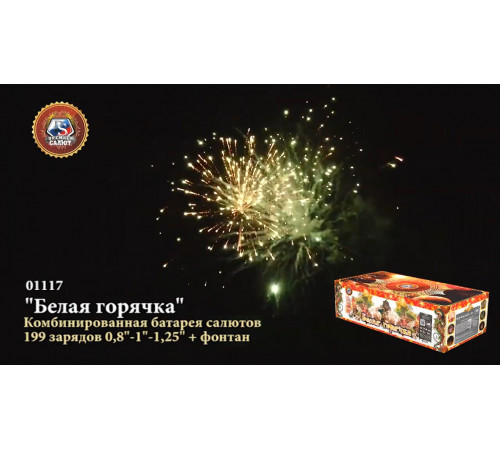 Фейерверк с фонтаном 199 залпов «Белая Горячка» Премьер Салют 01117