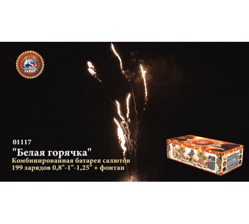 Фейерверк с фонтаном 199 залпов «Белая Горячка» Премьер Салют 01117