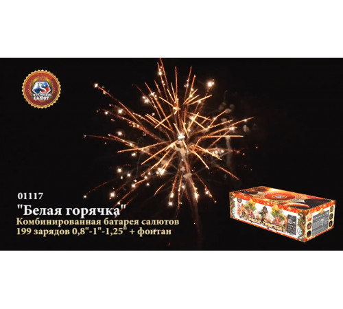 Фейерверк с фонтаном 199 залпов «Белая Горячка» Премьер Салют 01117