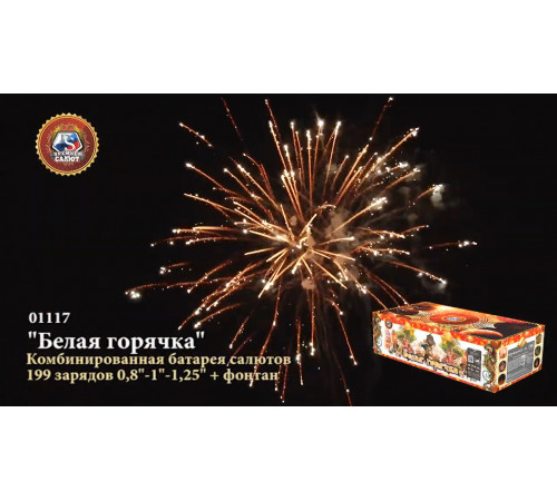 Фейерверк с фонтаном 199 залпов «Белая Горячка» Премьер Салют 01117