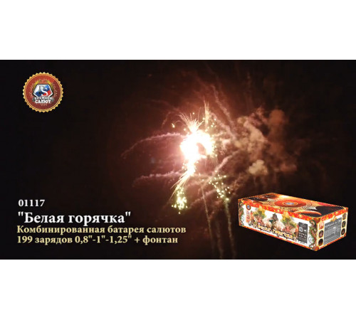Фейерверк с фонтаном 199 залпов «Белая Горячка» Премьер Салют 01117