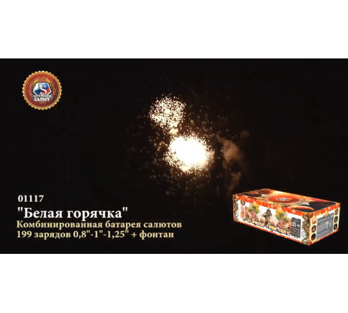 Фейерверк с фонтаном 199 залпов «Белая Горячка» Премьер Салют 01117