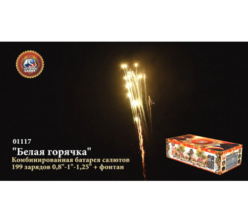 Фейерверк с фонтаном 199 залпов «Белая Горячка» Премьер Салют 01117