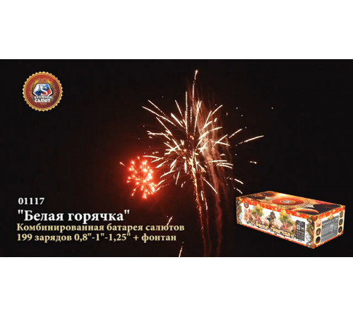 Фейерверк с фонтаном 199 залпов «Белая Горячка» Премьер Салют 01117