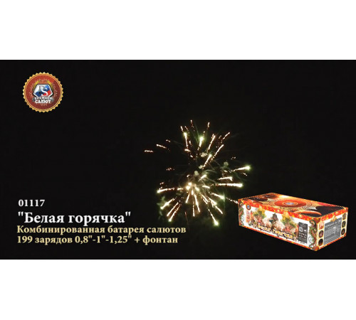 Фейерверк с фонтаном 199 залпов «Белая Горячка» Премьер Салют 01117