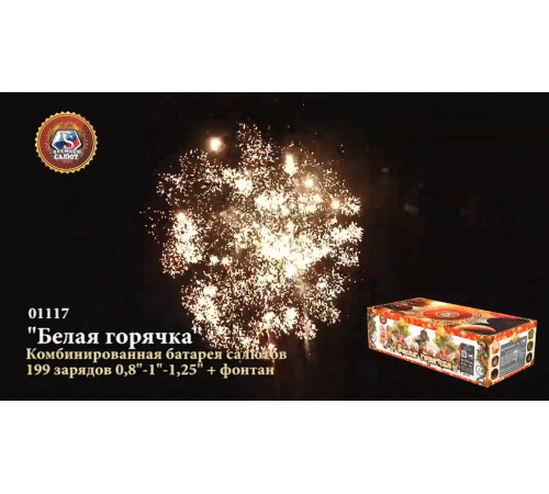 Фейерверк с фонтаном 199 залпов «Белая Горячка» Премьер Салют 01117