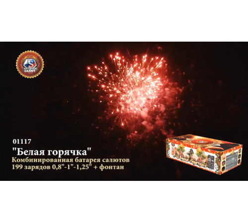 Фейерверк с фонтаном 199 залпов «Белая Горячка» Премьер Салют 01117