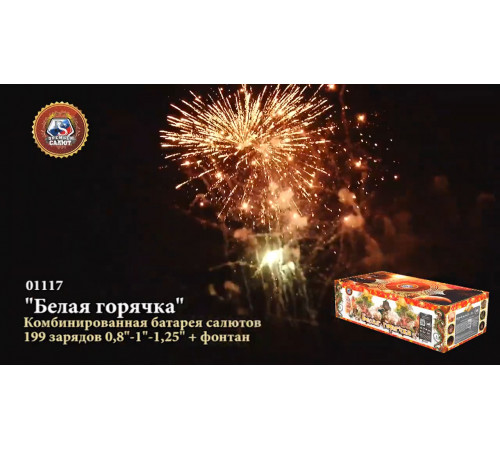 Фейерверк с фонтаном 199 залпов «Белая Горячка» Премьер Салют 01117