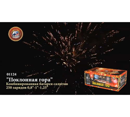 Фейерверк 250 залпов «Поклонная Гора» Премьер салют 01124