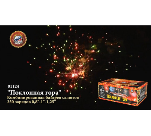 Фейерверк 250 залпов «Поклонная Гора» Премьер салют 01124