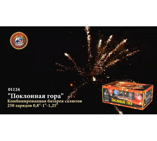 Фейерверк 250 залпов «Поклонная Гора» Премьер салют 01124