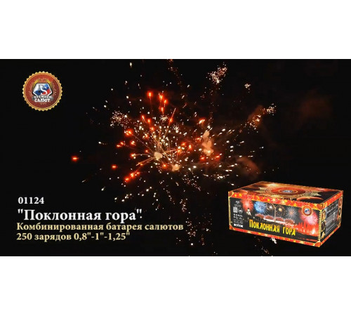 Фейерверк 250 залпов «Поклонная Гора» Премьер салют 01124
