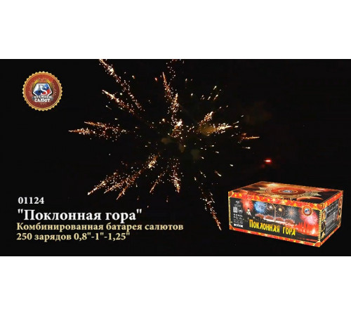 Фейерверк 250 залпов «Поклонная Гора» Премьер салют 01124