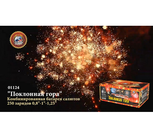 Фейерверк 250 залпов «Поклонная Гора» Премьер салют 01124