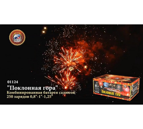 Фейерверк 250 залпов «Поклонная Гора» Премьер салют 01124
