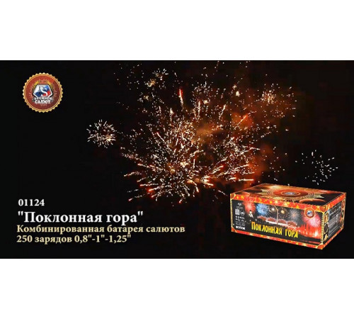 Фейерверк 250 залпов «Поклонная Гора» Премьер салют 01124