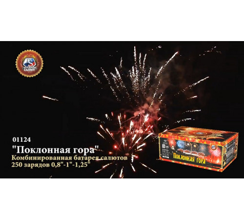 Фейерверк 250 залпов «Поклонная Гора» Премьер салют 01124