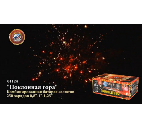 Фейерверк 250 залпов «Поклонная Гора» Премьер салют 01124
