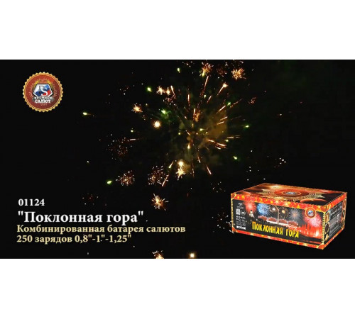 Фейерверк 250 залпов «Поклонная Гора» Премьер салют 01124