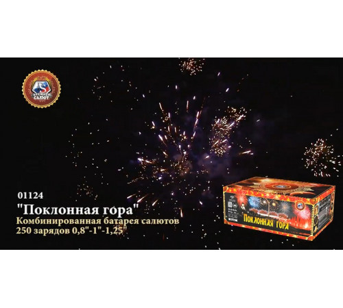 Фейерверк 250 залпов «Поклонная Гора» Премьер салют 01124