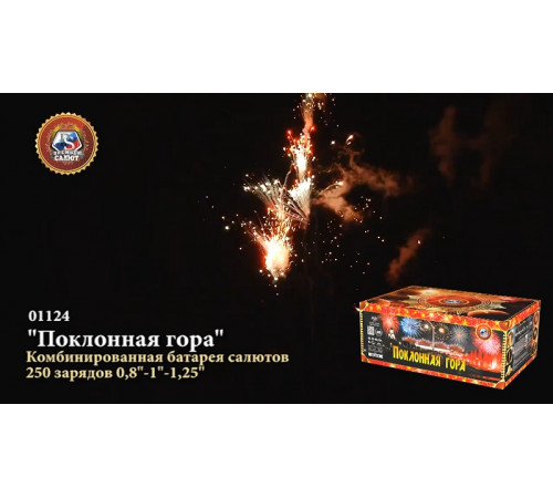 Фейерверк 250 залпов «Поклонная Гора» Премьер салют 01124