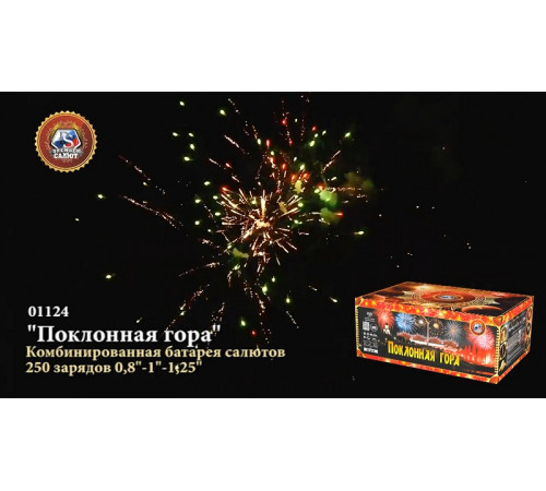 Фейерверк 250 залпов «Поклонная Гора» Премьер салют 01124