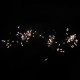 Веерный фейерверк 200 залпов «Золотой Дракон» Piroff БСП0320008