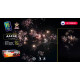 Веерный фейерверк 160 залпов «Дакар» Joker Fireworks JF C20-160/01