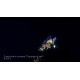 Фейерверк 235 залпов «Президентский» Joker firewroks JF VIP3