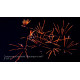Фейерверк 235 залпов «Президентский» Joker firewroks JF VIP3