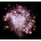 Веерный фейерверк 100 залпов «Wind Fireworks» Maxsem MC134