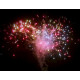 Веерный фейерверк 100 залпов «Wind Fireworks» Maxsem MC134