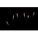 Веерный фейерверк 100 залпов «Wind Fireworks» Maxsem MC134