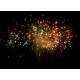 Веерный фейерверк 100 залпов «Wind Fireworks» Maxsem MC134