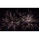 Фейерверк 63 залпа «Фортуна» Piroff БСК0206110