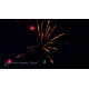 Фейерверк-горка 78 залпов «Войны Гоблинов» Joker Fireworks JF C2