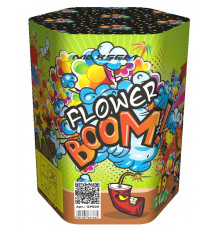 Фейерверк 19 залпов «Flower Boom» Maxsem GP509