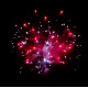 Фейерверк 19 залпов «Flower Boom» Maxsem GP509