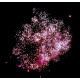 Фейерверк 19 залпов «Flower Boom» Maxsem GP509