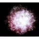 Фейерверк 19 залпов «Flower Boom» Maxsem GP509
