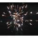 Фейерверк 19 залпов «Show Time» Maxsem M1253