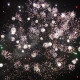 Фейерверк 39 залпов «Чёрный Рыцарь» Piroff БСР0103912-15