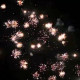 Фейерверк 25 залпов «25 кадров» Joker Fireworks JF C25-25/03