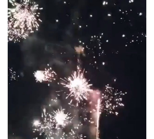 Фейерверк с фонтаном 6 залпов «Бестия» Joker Fireworks JF TB32