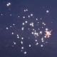 Веерный фейерверк 30 залпов «Falcon» Joker Fireworks JF С20-30V/01
