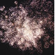 Фейерверк 41 залп «Корсак» Piroff БСК0104108-10