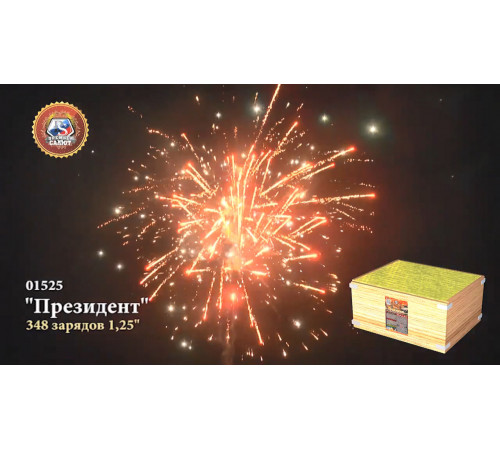 Фейерверк 348 залпов «Президент» Премьер салют 01525